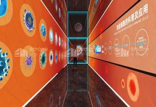 ***纸浆模塑规格齐全