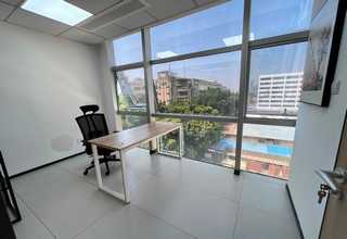 黄浦区一站式绿植租赁服务