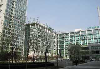 惠安动物石雕定制